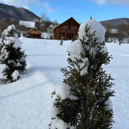 Lodge сонячна долина